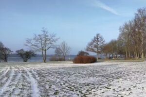 Bakkehuset Cafeteria