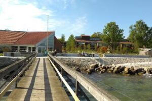 Dansk Handicap Forbund Stranden