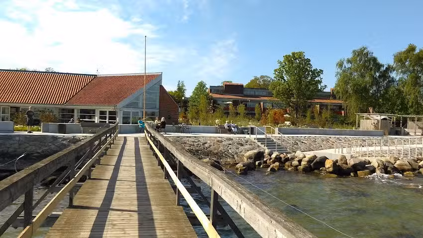 Dansk Handicap Forbund Stranden