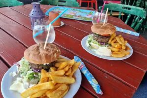 Dark Horse Snogebæk