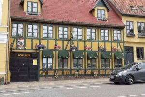 Den Standhaftige Tinsoldat Af Odense