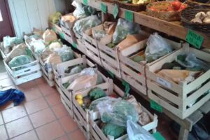 Drivhuset, &Oslash;kologi, Yoga og Buddhisme