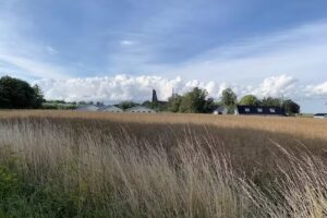 frederiksens frugtplantage