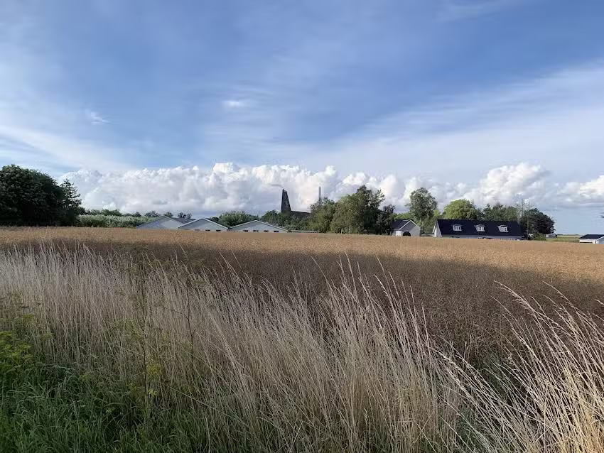 frederiksens frugtplantage