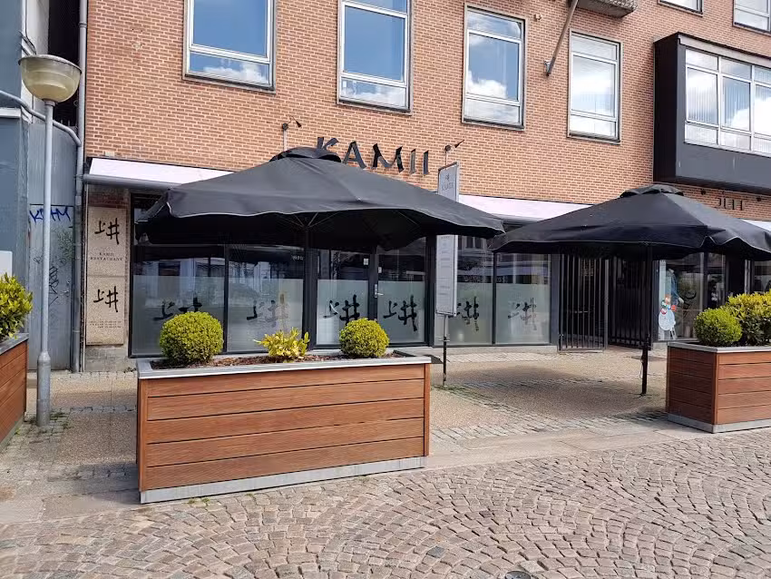 Kamii sushi i Hj&oslash;rring
