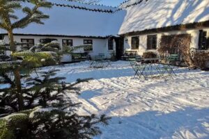 LINDEDAHL Juletr&aelig;er & Pyntegr&oslash;nt v/Henrik Lindeburg