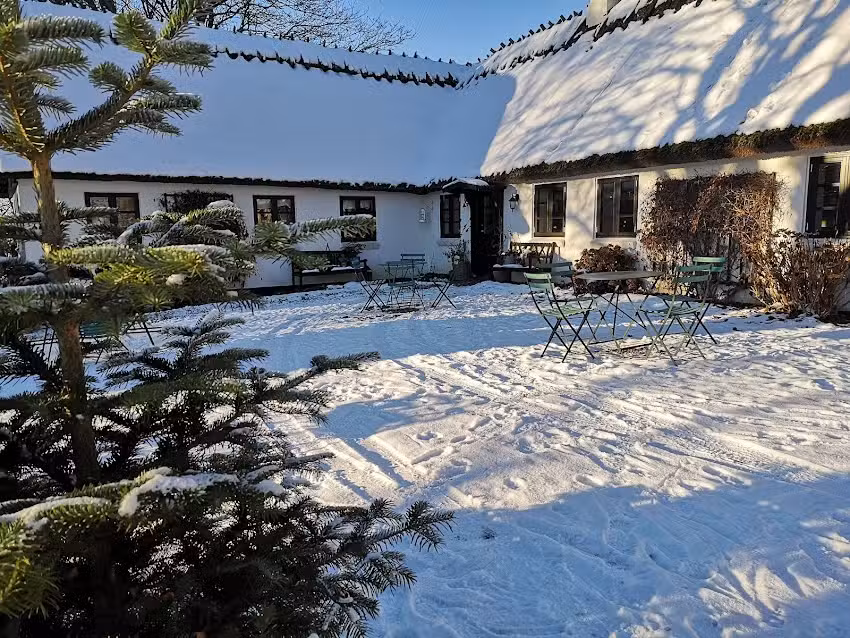 LINDEDAHL Juletr&aelig;er & Pyntegr&oslash;nt v/Henrik Lindeburg