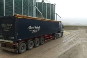 Marienborg Svineproduktion ApS