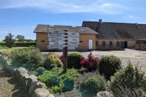 Mark Schmidt Hvals&oslash;e Hansen