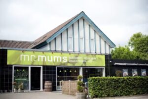 Mr. Mums