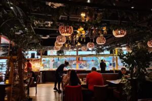 Nachos Restaurant, Fields