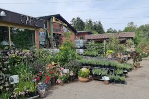 Naturplanteskolen &ndash; &oslash;kologisk planteskole, kursussted, g&aring;rdbutik og caf&eacute;