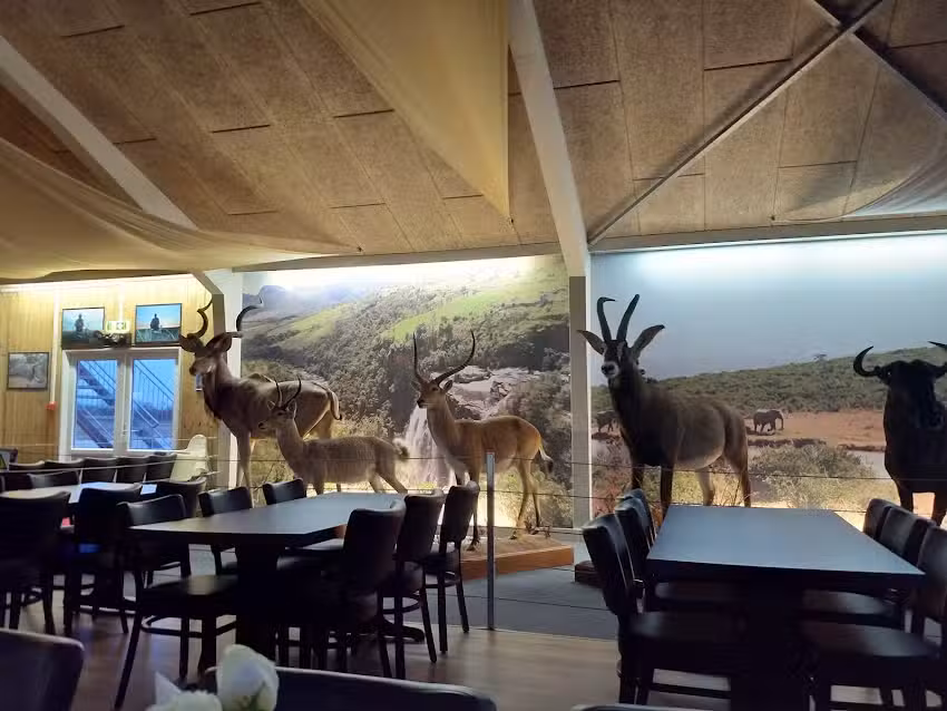 Nygaards Afrika &ndash; Jagtmuseum &ndash; Dyrehave &ndash; Musik & Dansested &ndash; Restaurant &ndash; G&aring;rdbutik &ndash; Overnatning