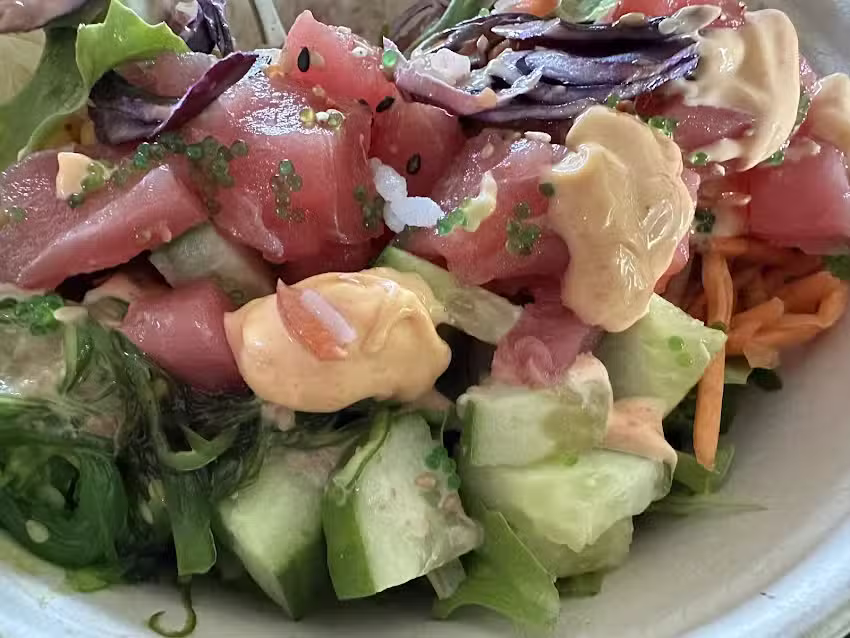 Pok&eacute; Pok&eacute; Frederiks All&eacute;