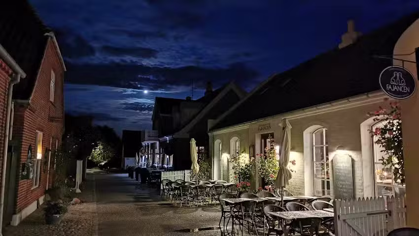 Restaurant/Caf&eacute; Fajancen