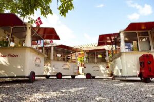 Schulstads P&oslash;lser