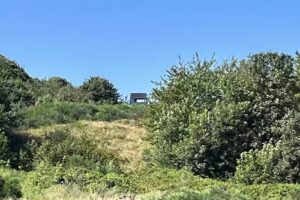 Tun&oslash; Udsigten / Bar